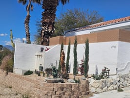 31367146