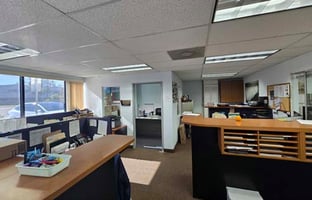 31367397