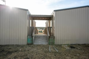 31746732