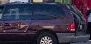 31367502