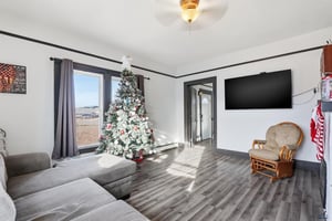 31367657