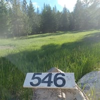 31367866