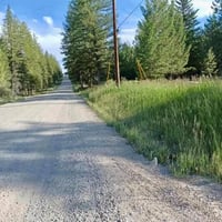 31367867