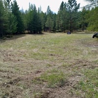 31367865