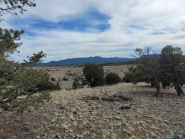 31368354