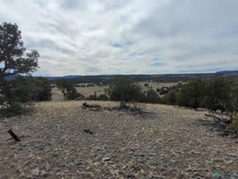 31368356