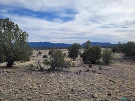 31368369