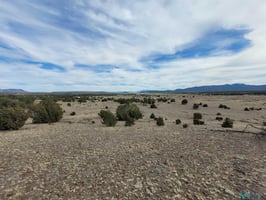 31368341