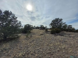 31368371
