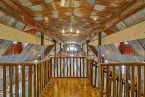 31368803