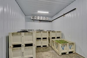 31368783