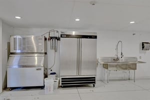 31368844
