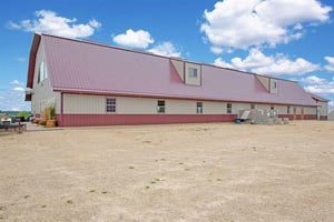 31368808