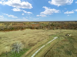 31368942