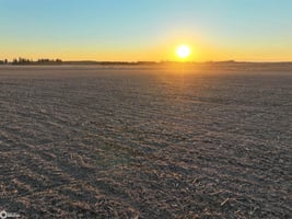 31369441