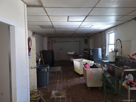 31369668