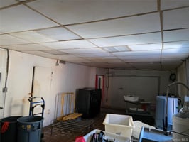 31369665