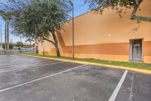 31371501