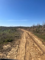 31373716