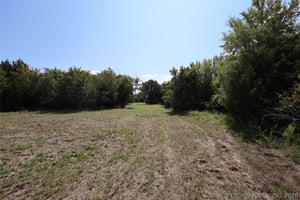 31373842