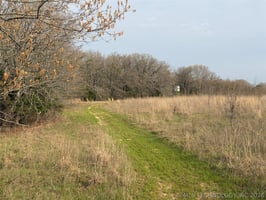 31374015