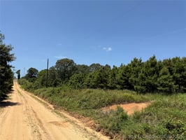 31374008