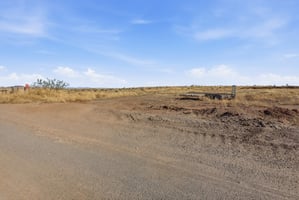 31374753