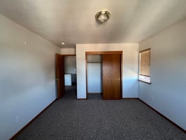 31376202