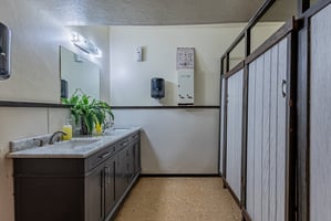 31376249