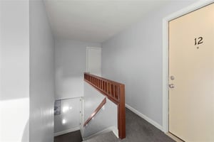 31376821