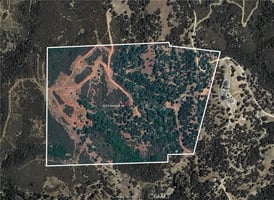 31379352