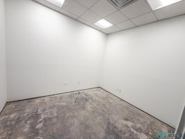 31380239