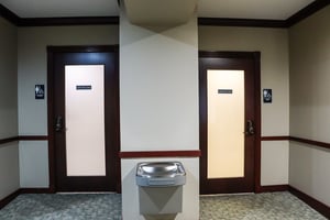 31383525
