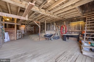 31385666