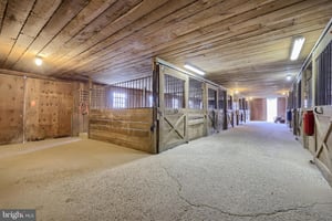 31385668