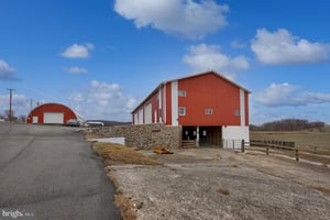 31385736