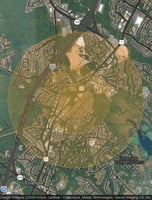 31385868