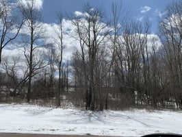 31385970