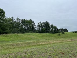 31386237