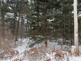 31386291