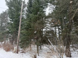 31386292