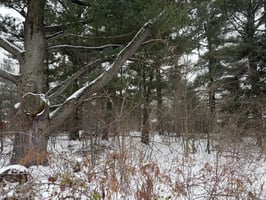 31386290