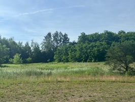 31386372