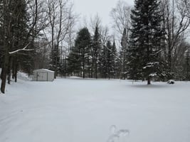 31386531