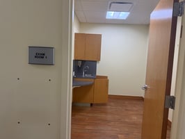 31387744