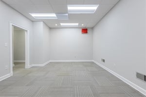 31388445