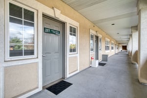 31388749
