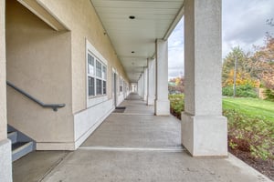 31388744