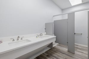 31388893