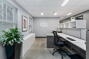 31389581